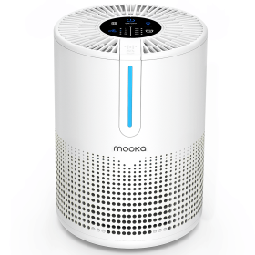Air Purifiers for Bedroom Home 430 Sq.Ft, H13 HEPA Filter Small Portable Air Purifier with USB Cable Fragrance Sponge for Smokers Pollen Pets Dust Od