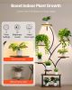 VEVOR Plant Stand Indoor with Grow Lights, 62 in Tall 8-Tier Lighted Plant Shelf, Metal Corner Plants Holder, 3 Timer & 10 Brightness, Tree-Shaped Fl